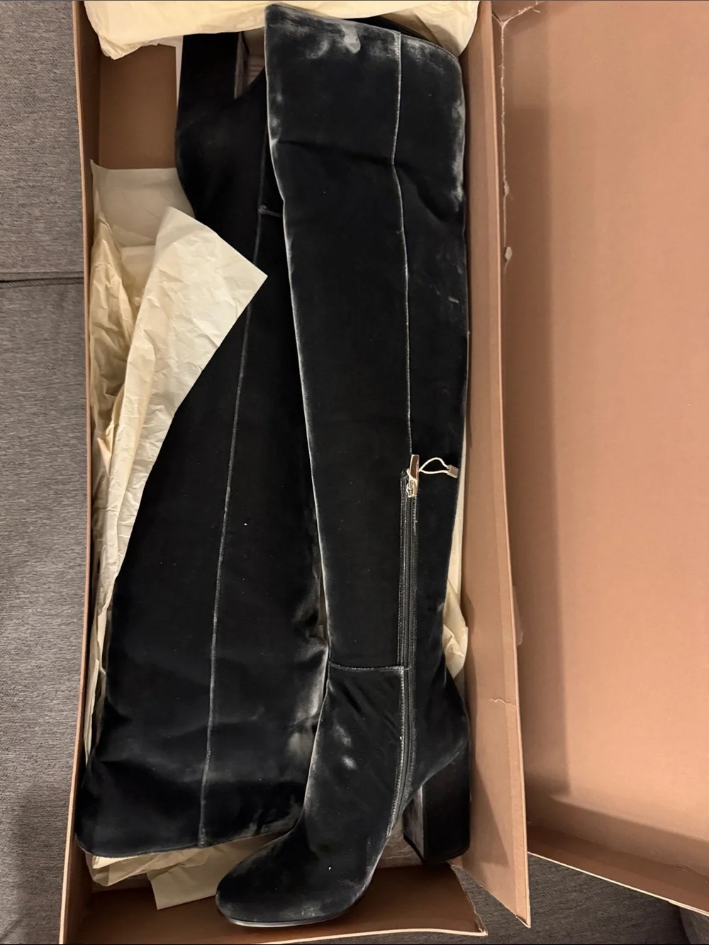Gianvito Rossi tall suede